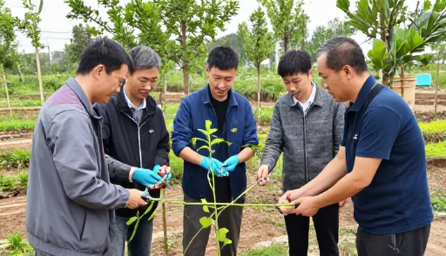 如何选择适合的种植技术指导服务？